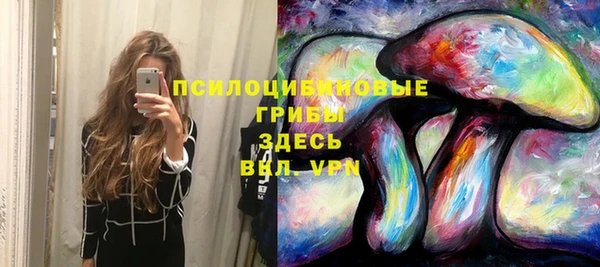 МДПВ Арсеньев