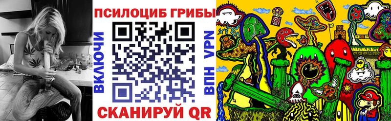 Псилоцибиновые грибы Cubensis  как найти закладки  Райчихинск 