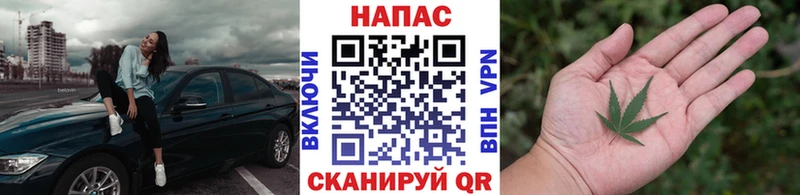Бошки марихуана Amnesia  хочу   Райчихинск 